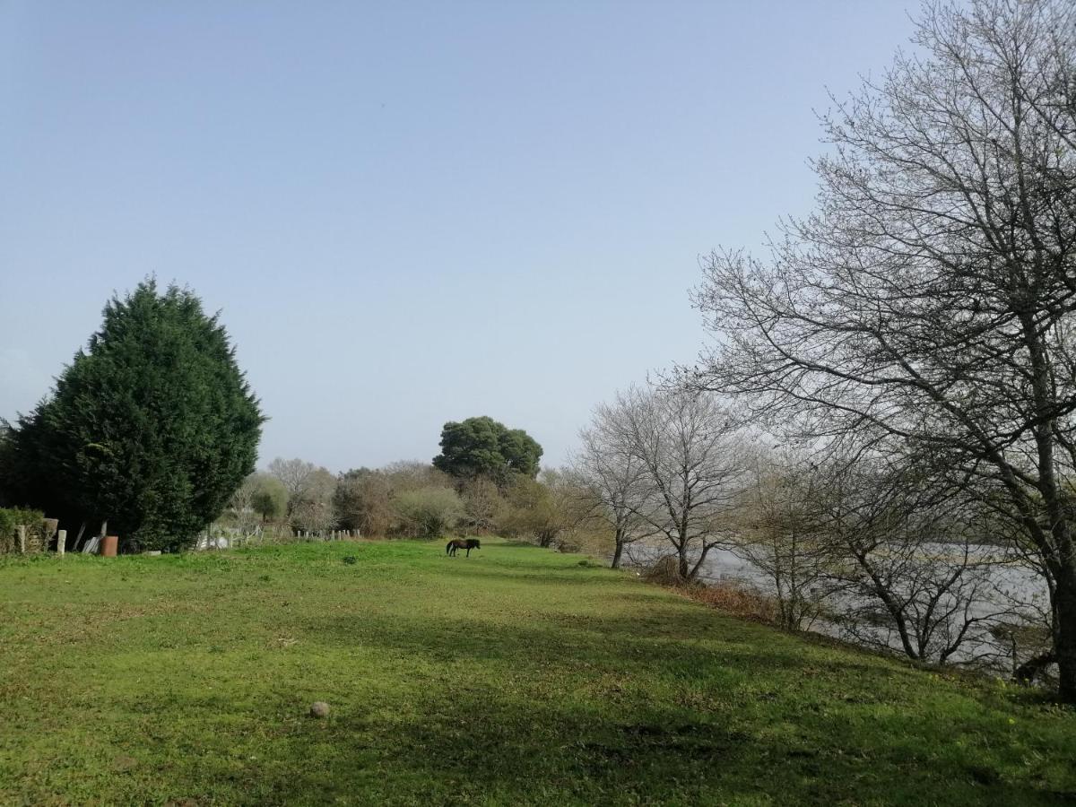 Royalheronhouse Viana do Castelo Buitenkant foto